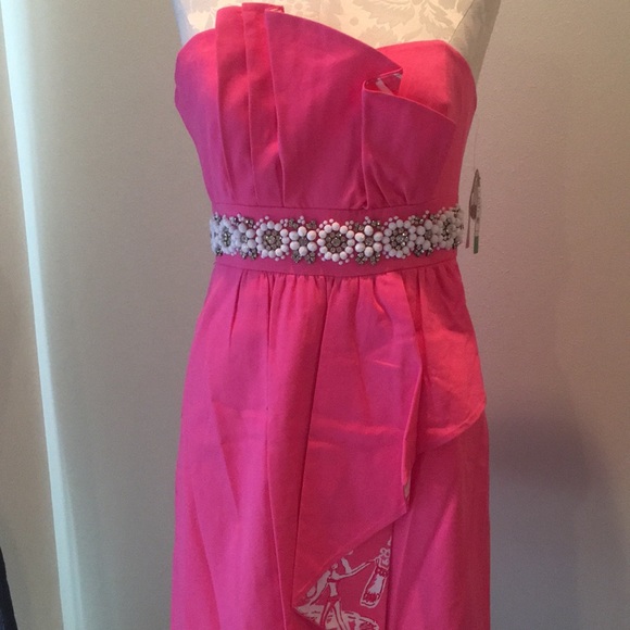 Lilly Pulitzer Crystal Dress in Hotty Pink. NWT. - Picture 4 of 4